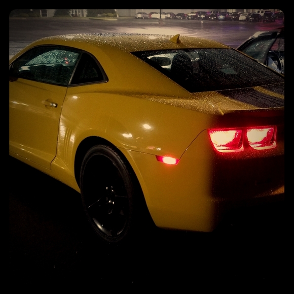 Meet your Posher, Paul - Picture 1 of 1